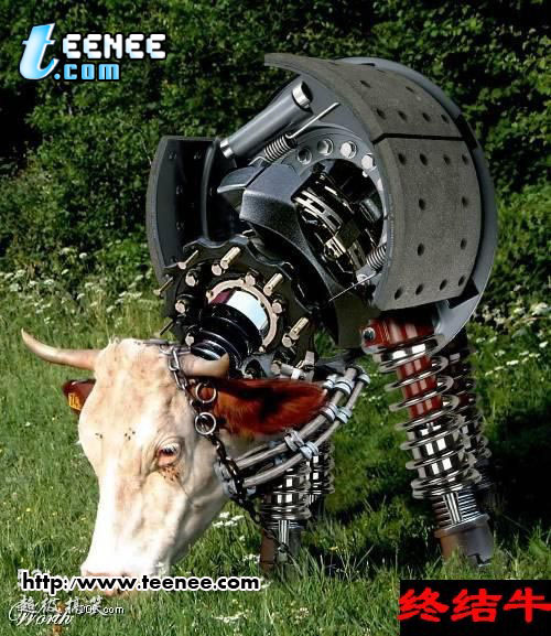 หุ่นยนต์วัว..สุดเจ๋ง...