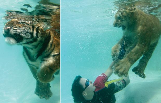 อาบน้ำกับเสือ