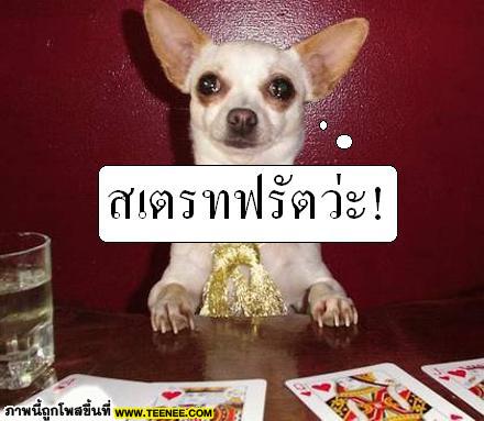 ขำๆ ฮาๆ