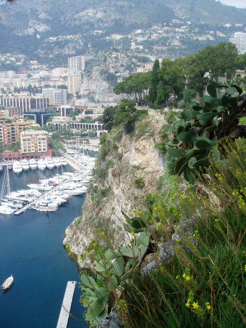 Exotic garden of Monaco - Monte Carlo