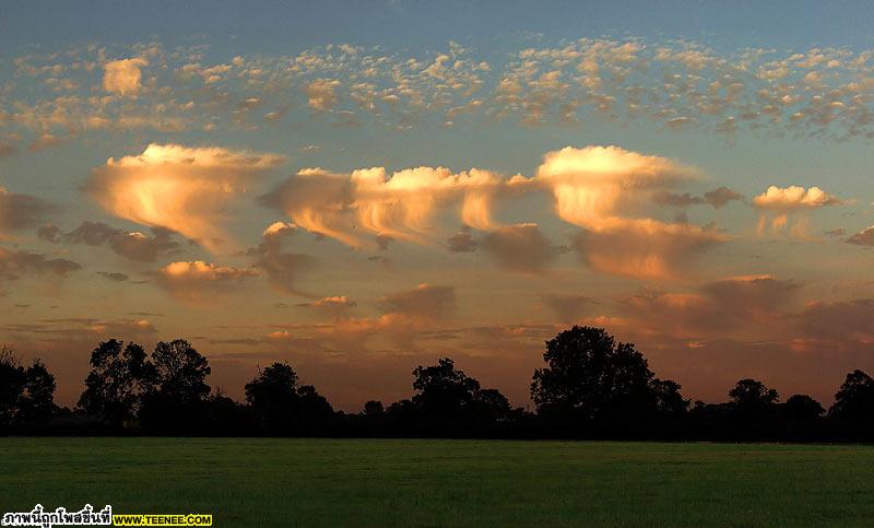 อันดับ 10 Altocumulus Castelanus เมฆกลุ่มนี้คือจะเป็นพุ่มๆเหมือนแมงกะพรุน เกิดจากลมที่ชื้นๆจากกระแสน้ำอุ่นกัลฟ์สตรีม มาเจอกับอากาศแห้งๆ 