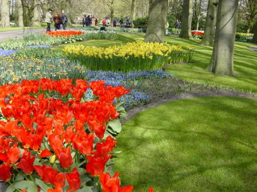 flower garden!!~