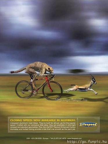 อันนี้โฆษณาจักรยานที่ขี่ได้เร็วยิ่ง ขนาดเสือชีตาร์ยังแอบซื้อมาใช้ล่ากวางเลยอะ
