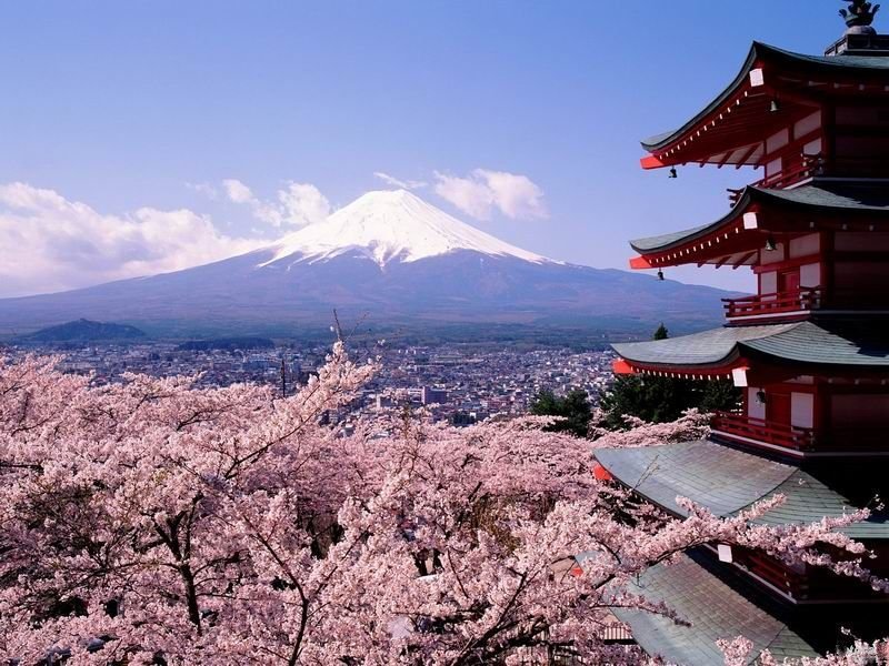 Temple and Shrine of Japan