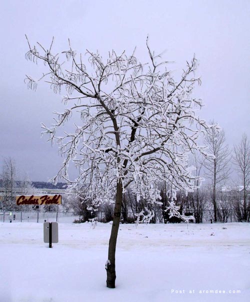 Canada Winter 2007
