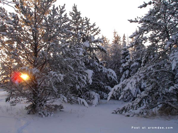 Canada Winter 2007