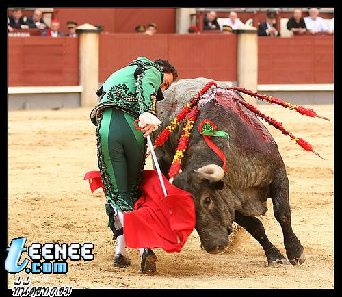 Bullfighting (น่าสงสารมันอ่ะ)