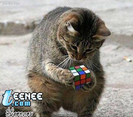 Rubik s