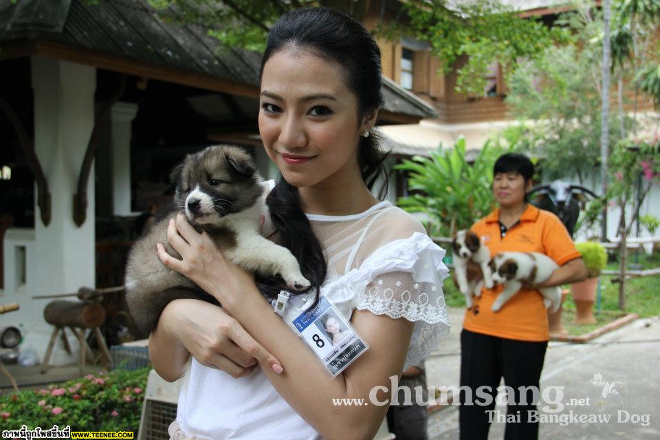 ชมภาพเพิ่มเติมได้ทาง Facebook คอกชุมแสงสงคราม : http://www.facebook.com/chumsang.bangkaew