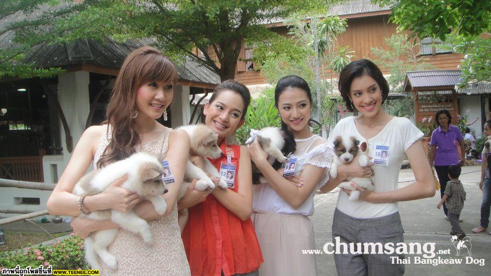 ชมภาพเพิ่มเติมได้ทาง Facebook คอกชุมแสงสงคราม : http://www.facebook.com/chumsang.bangkaew