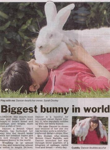 กระต่ายจริงอ่ะ..ตัวใหญ่ได้อีก!!