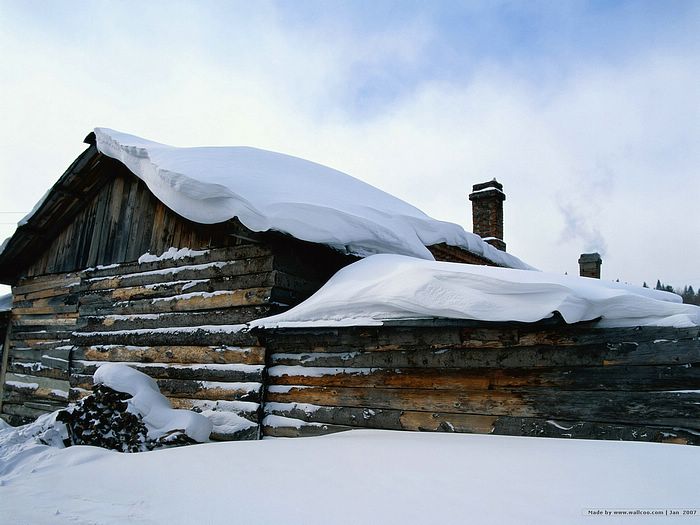 White Winter