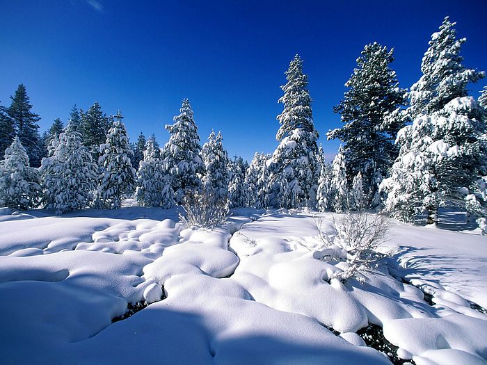 Beatiful Winter Season