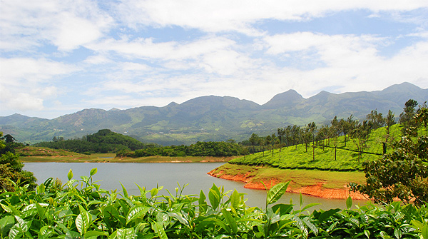 Munnar, Kerala