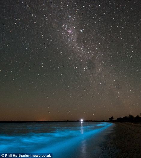 ทึ่ง ภาพทะเลสาบเรืองแสง ที่ออสเตรเลีย