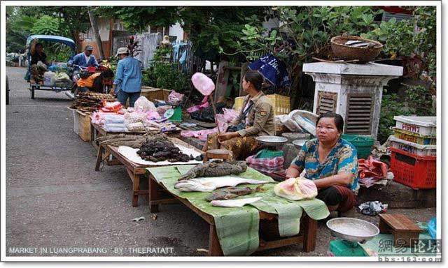 อาหารแปลก ๆ ตามตลาด ประเทศเพื่อนบ้าน