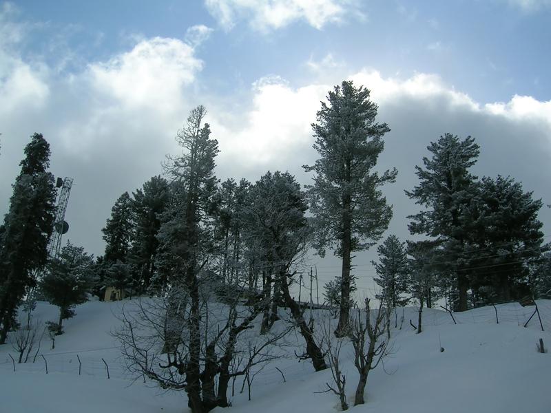 kashmir   in   winter