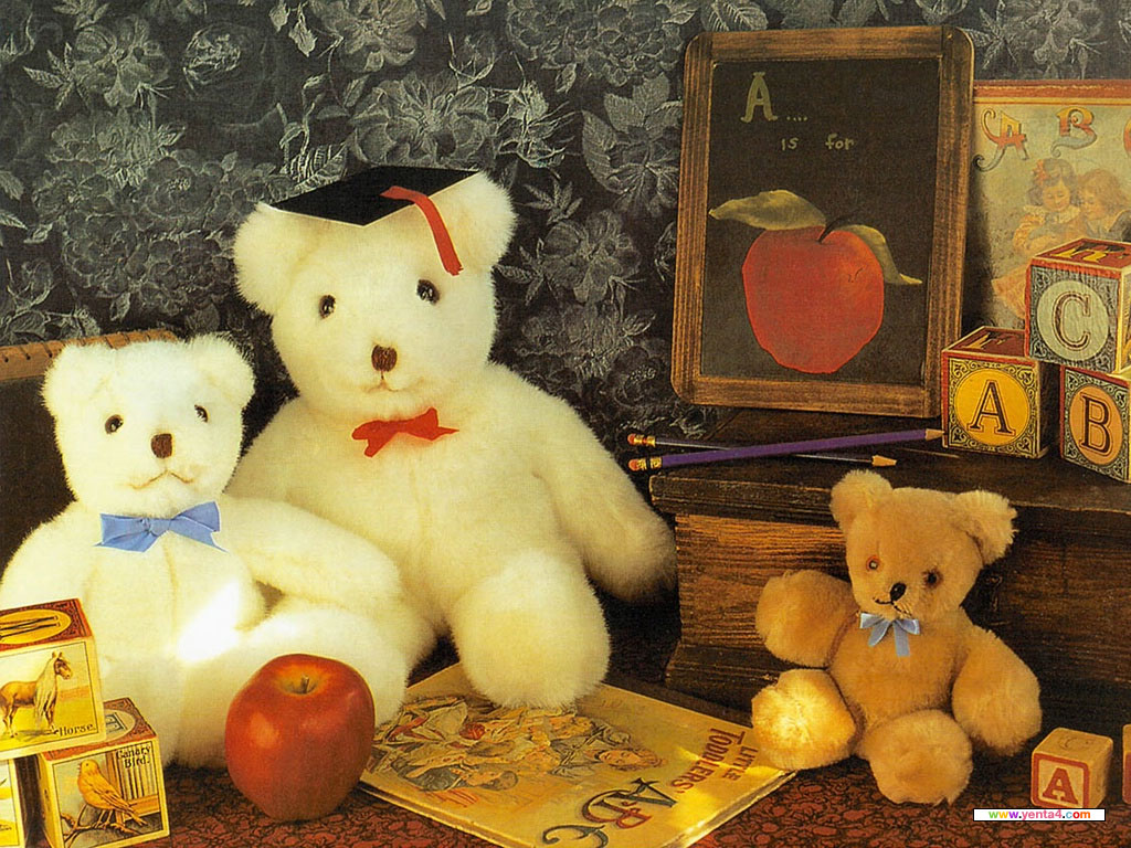 --[Wallpaper Teddy Bearล--