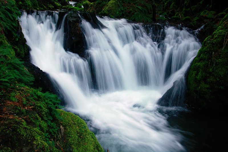 ธรรมชาติสวยๆ จาก Oregon