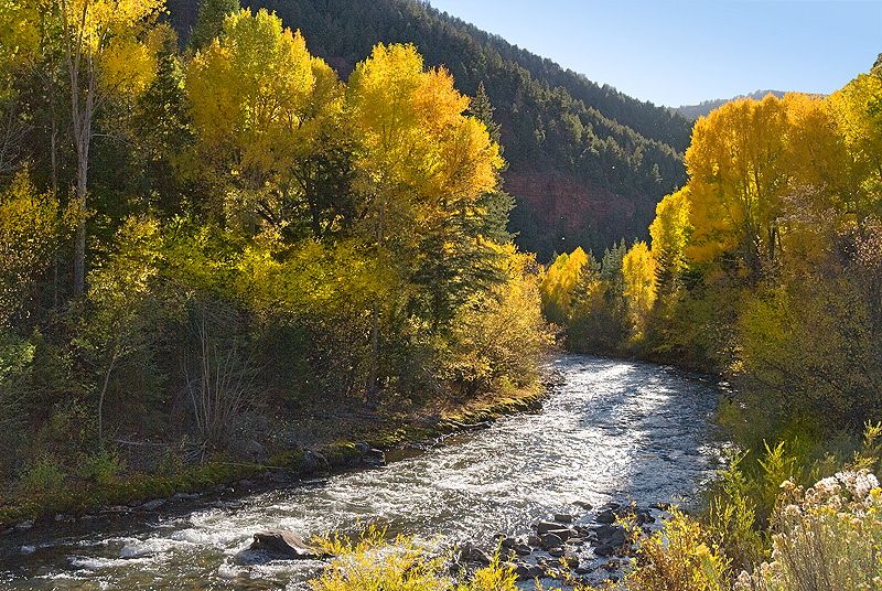 ใบไม้เปลี่ยนสีที่ Colorado