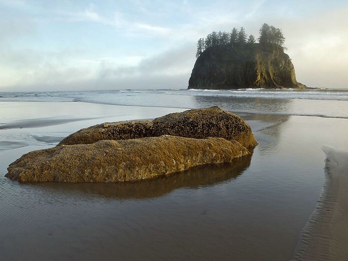 Sea Stacks at Second Beach Olympic National Park Oregon