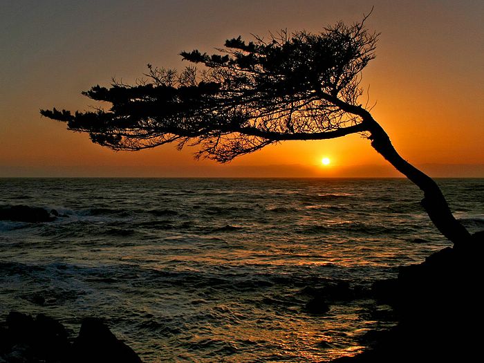 Carmel Sunset California
