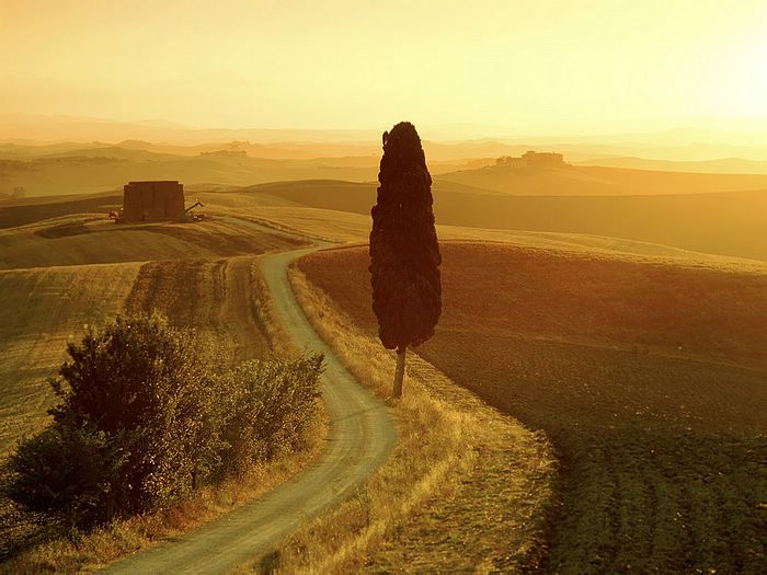 Tuscan Landscape at Sunrise Italy