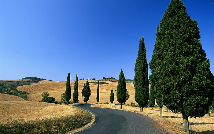 Italy, Winding Country Road in Monticchiello, Pienza