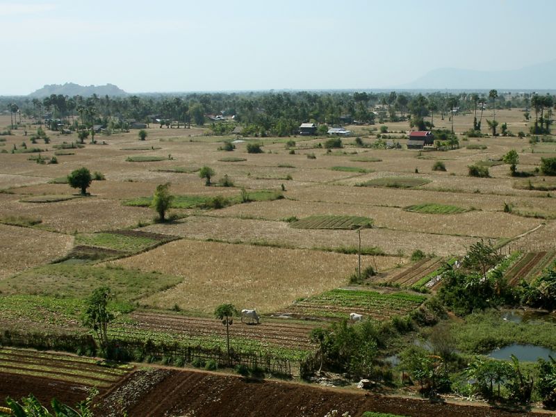 Phnom Chhnork Farms
