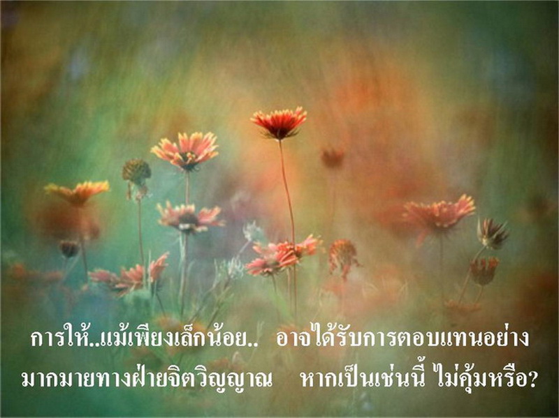 เรื่อง  ยา  3  ห่อ  (ตอนที่ 2  -  จบ)