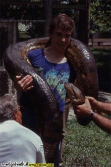 snake snake (correct)