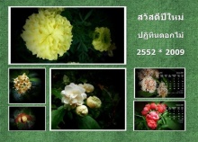 ปฏิทินดอกไม้ พันธุ์ไม้หอม ปี 2009