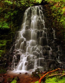 ธรรมชาติสวยๆ จาก Oregon