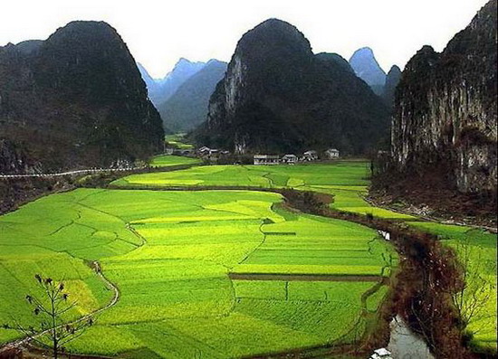 ภาพวิว ธรรมชาติสุดสวยในประเทศจีน