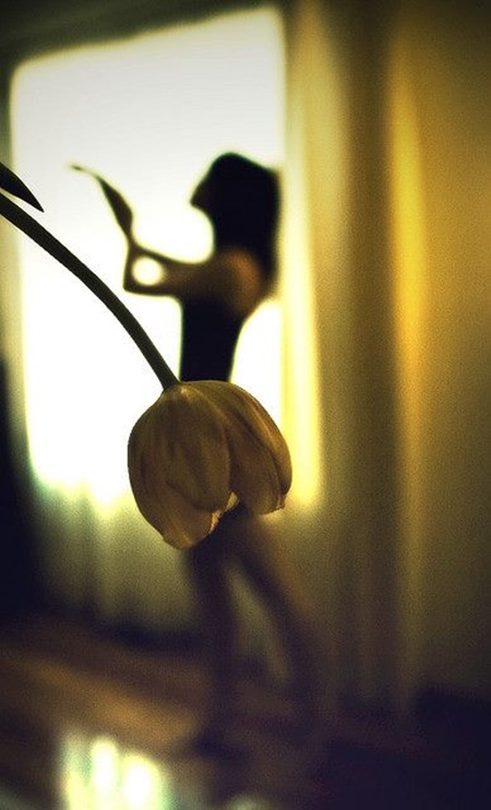 กระโปรงจากดอกไม้