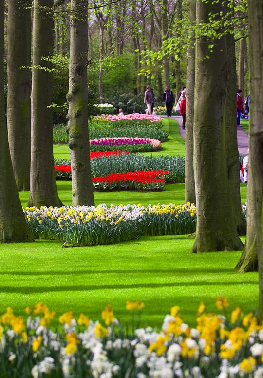 Keukenhof Garden Holland # 2