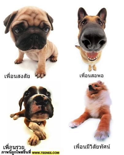 เพื่อนแบบหมาๆ  ^_____^