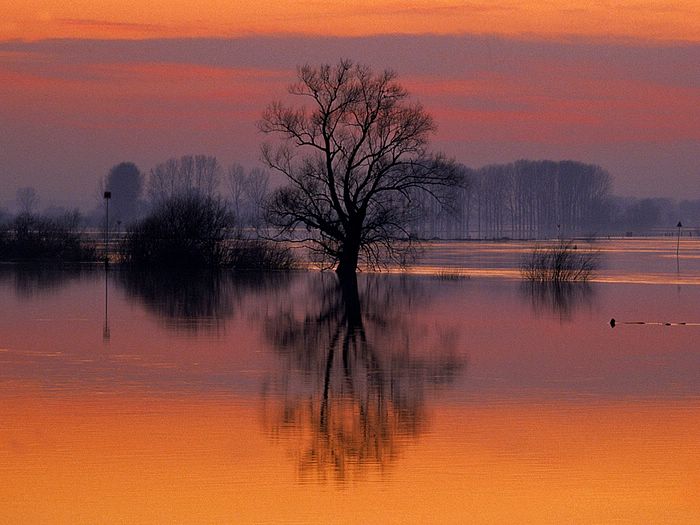 Flooded River at Dusk Ijsselstreek Region Holland The Netherlands