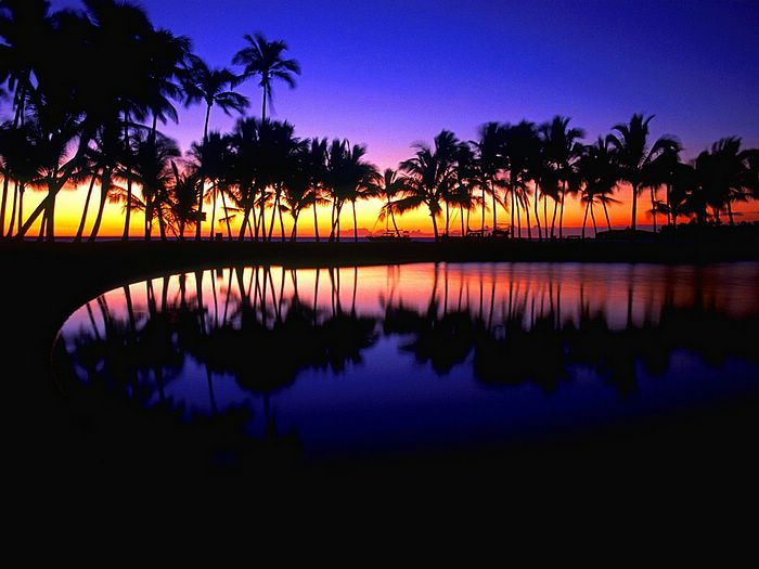 Tropical Reflections Hawaii
