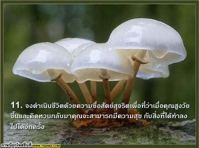 ข้อคิดดี ๆ ขอบคุณเจ้าของไอดีมากคะ