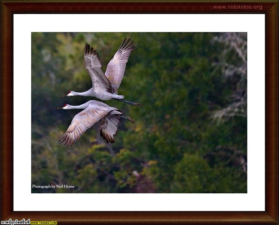 National Geographic Top 35 Photos of 2009 (1)