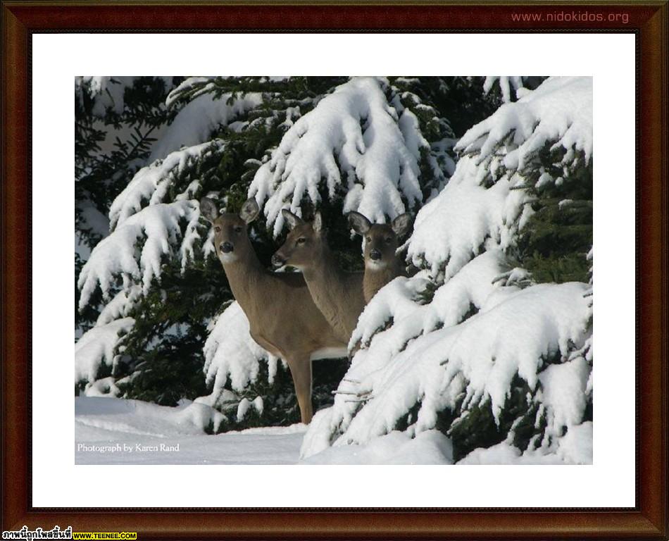 National Geographic Top 35 Photos of 2009 (1)