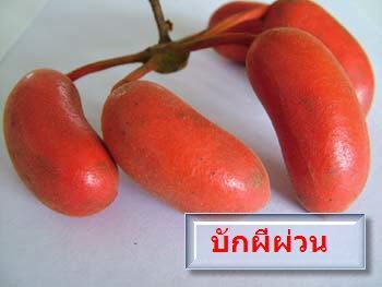 ผลไม้ทางภาคอิสาน..~~