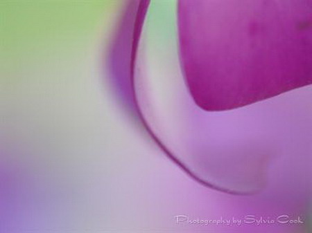 Colorful abstract (3) 