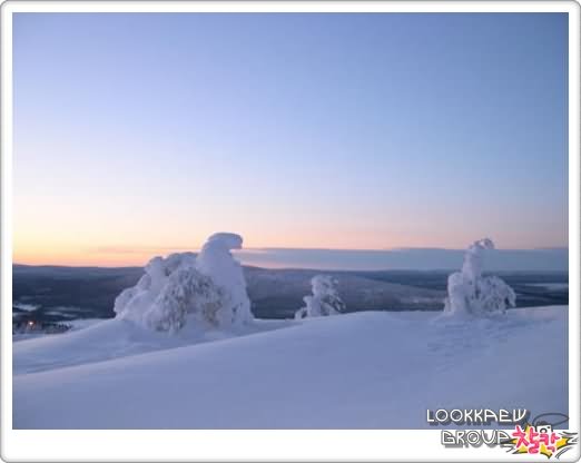 ๏~* บรรยายกาศในหน้าหนาว Winter Scenes *~๏