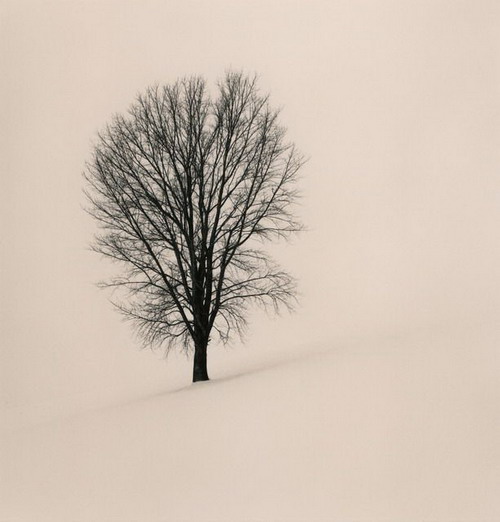 Silent beauty from Michael Kenna (1)