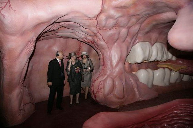 museum of the human body