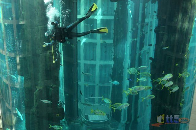 Elevator inside the aquarium