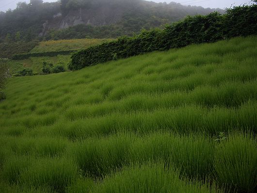 ธรรมชาติ สร้างสีให้โลกสวย