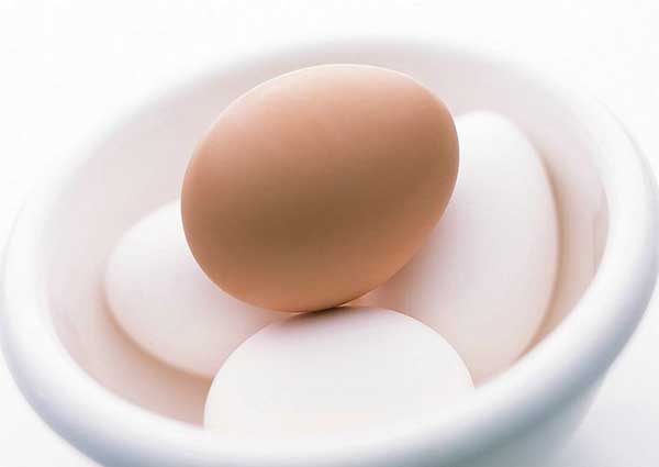 Egg:Nutritious Supplement..(￣︶￣)> 